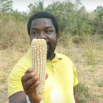 Confirmed Breakthrough Direction