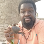 Stop any attack and no one can bring you down